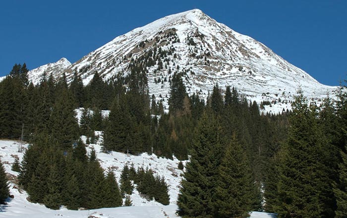 kleiner-kornigel